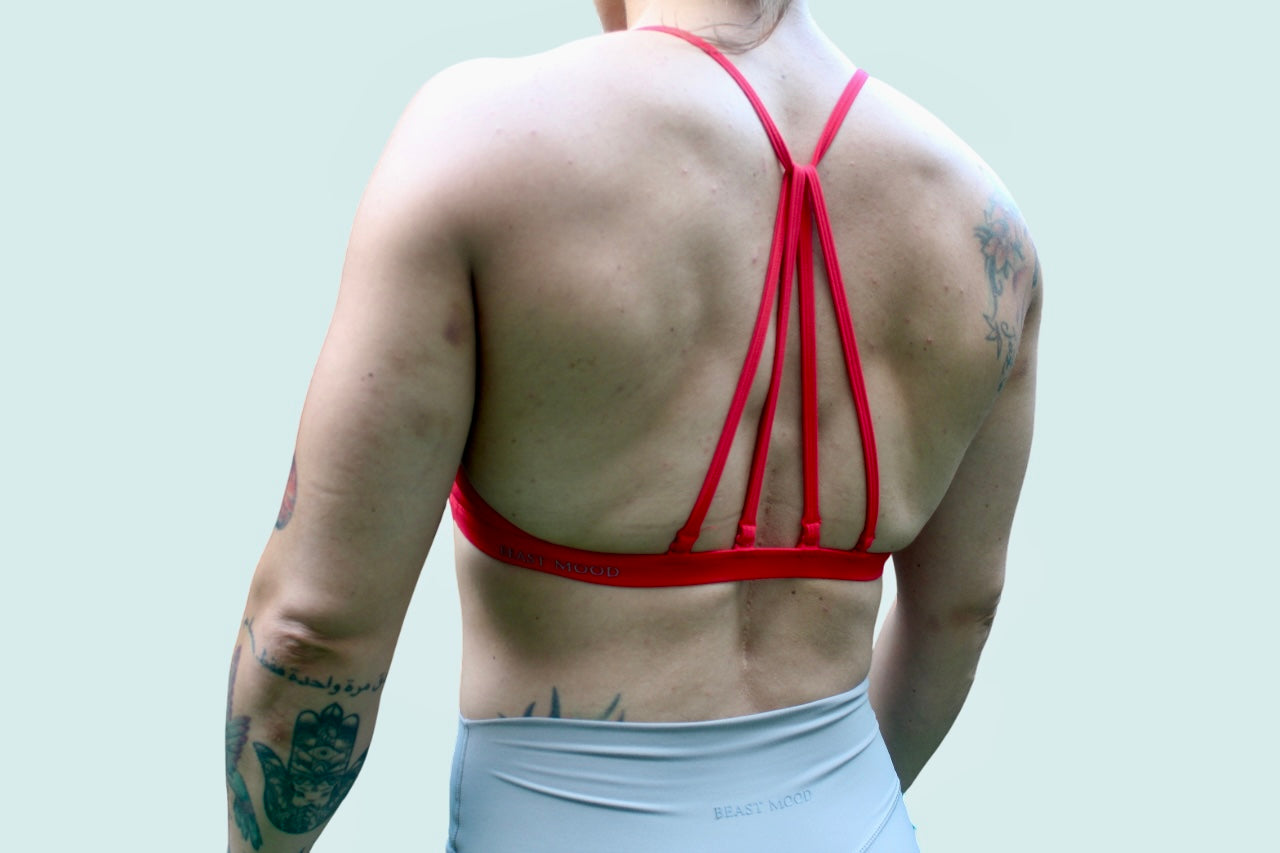 Sports bra  HALLSTROMI red