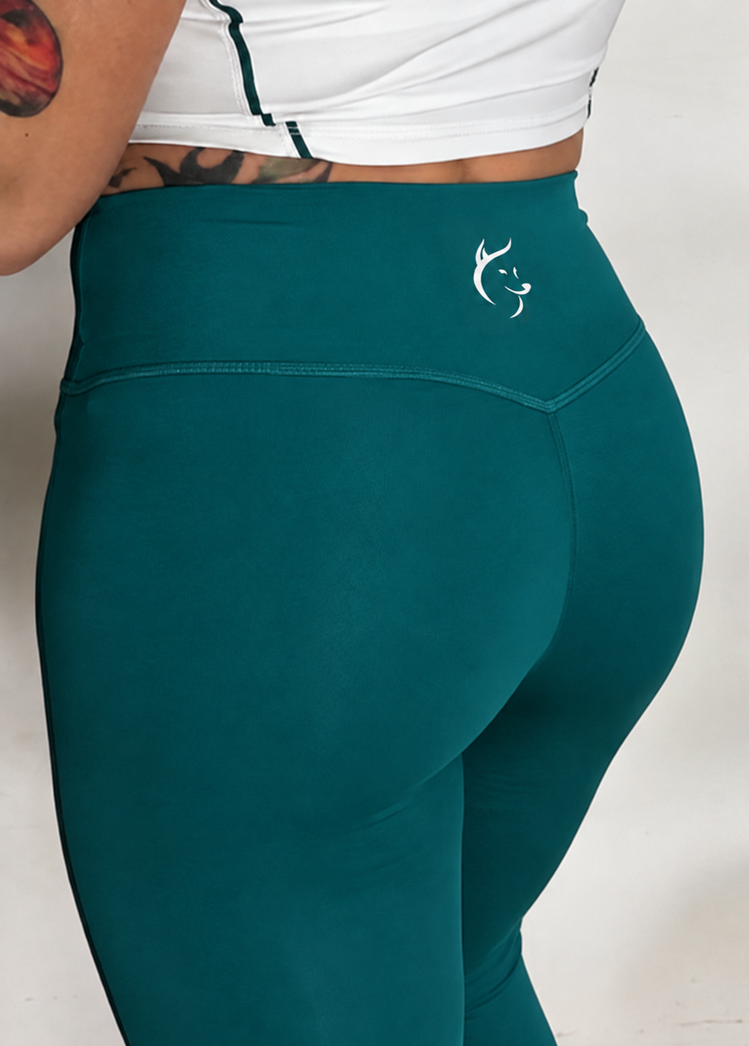 LegginS BAILEYI-ASH